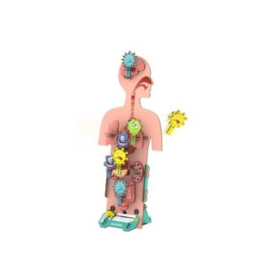 Smartivity CUERPO HUMANO ANTIGERMENES